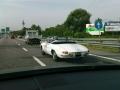 Alfa Romeo Spider 1300 Junior spiderossos4_t1.jpg