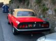 alfaspideretilico20130420_t1.jpg
