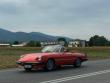 alfaspideretilico20151015_t1.jpg