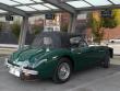 austinhealey3000polar20200708_t1.jpg