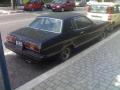 mustang28v6pafer75_t1.jpg