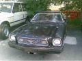 mustang74gianmarco_t1.jpg