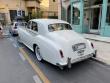 bentleys1princemax20220809_t1.jpg