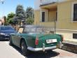triumphtr4luka9620241116_t1.jpg