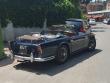 triumphtr4luzzo20190716_t1.jpg