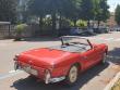 triumphspitfireluka9620250727_t1.jpg