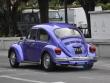 VW Maggiolone 1303
