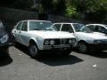 alfetta18neim76_t1.jpg
