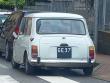 miniciccio20241111_t1.jpg