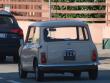 minisilverfox20250511_t1.jpg
