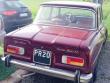 giuliaste7820140515_t1.jpg