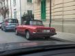 alfaspideretilico20170223_t1.jpg