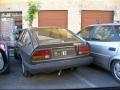 gtv20bio81_t1.jpg