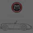 logo-austinhealey-100.png