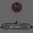 logo-austinhealey-3000.png