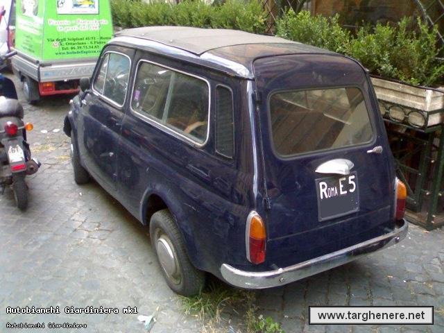 giardibue691.jpg
