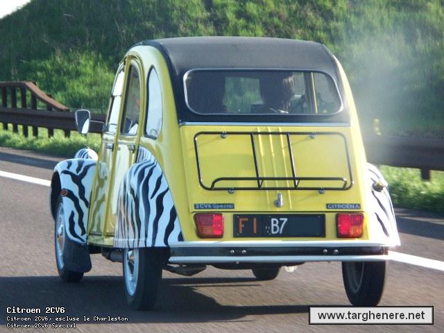 2cv1982filzebra.jpg