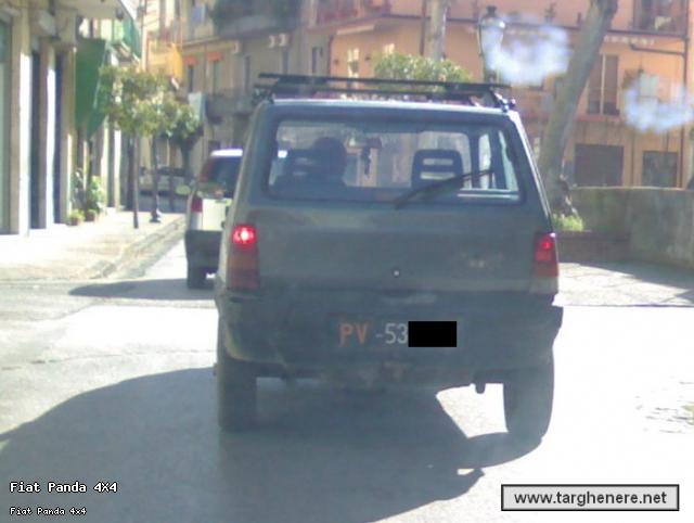panda4x4ste.jpg