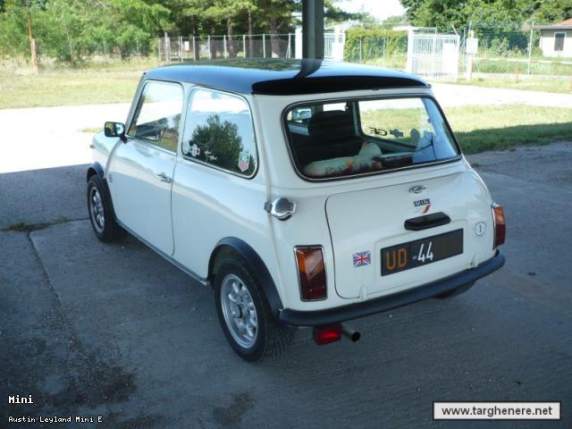 minineim82.jpg