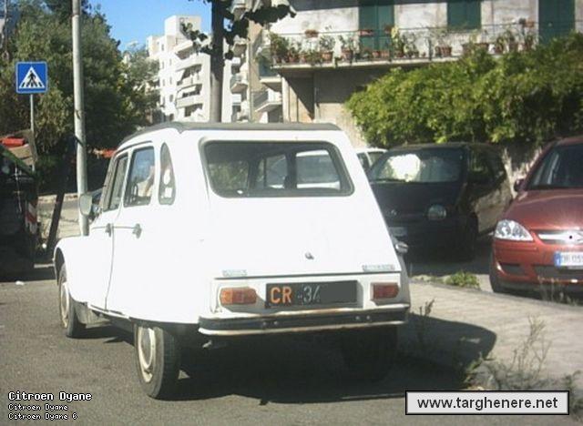 dyanecrpeppe.jpg
