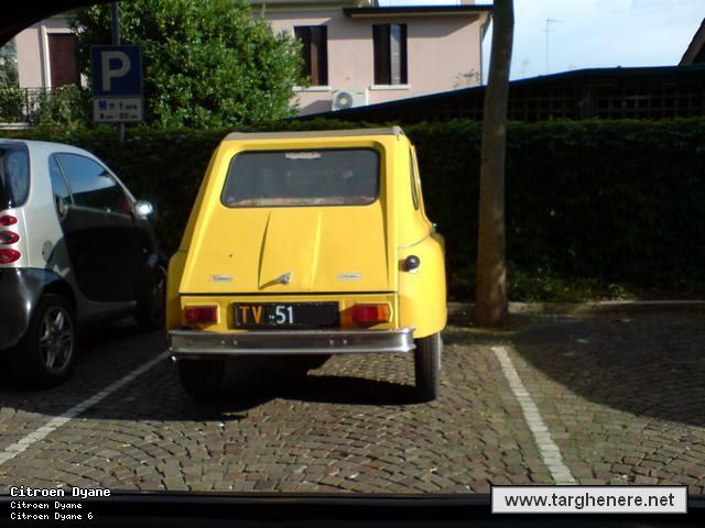 dyanegiallasile.jpg