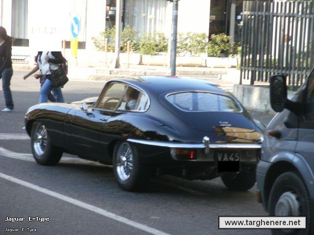 jaguaredaniptar74.jpg