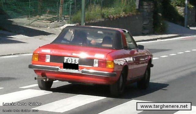 betaspiderdanip75.jpg