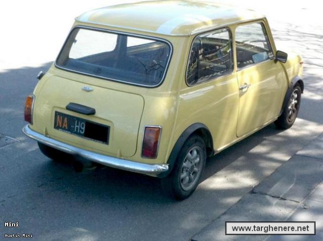 minietilico83.jpg