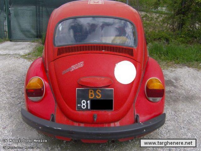 maggiojeansbugmarnile.jpg