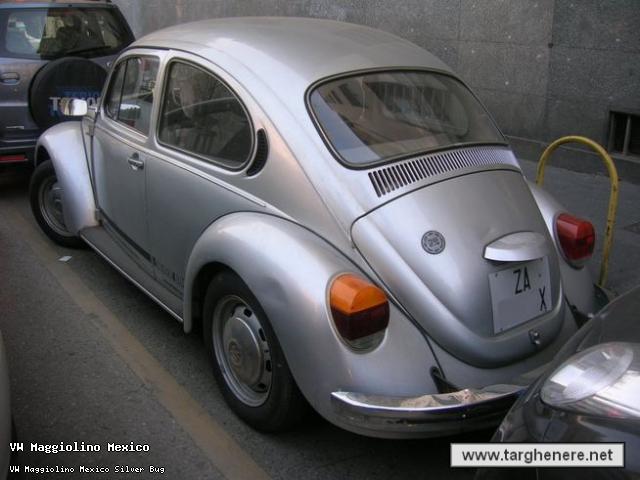maggiosilverbugbioza.jpg