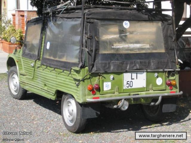mehariberto88fitarli.jpg