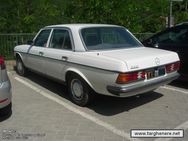 mercedesw123francesco20130121.jpg