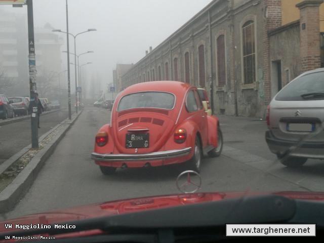 maggiolinoiom20130206x.jpg