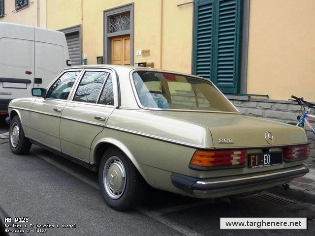mercedesw123luca20130207.jpg