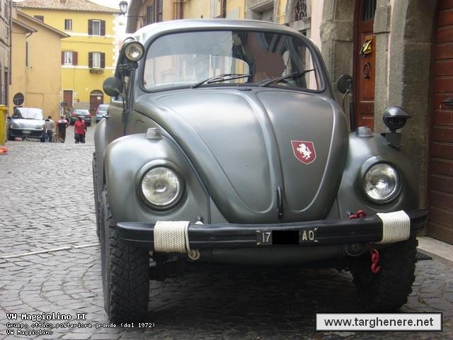 maggiolinoalpiman20130219.jpg