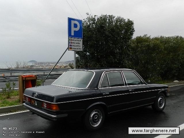 mercedesw123perny20130310.jpg