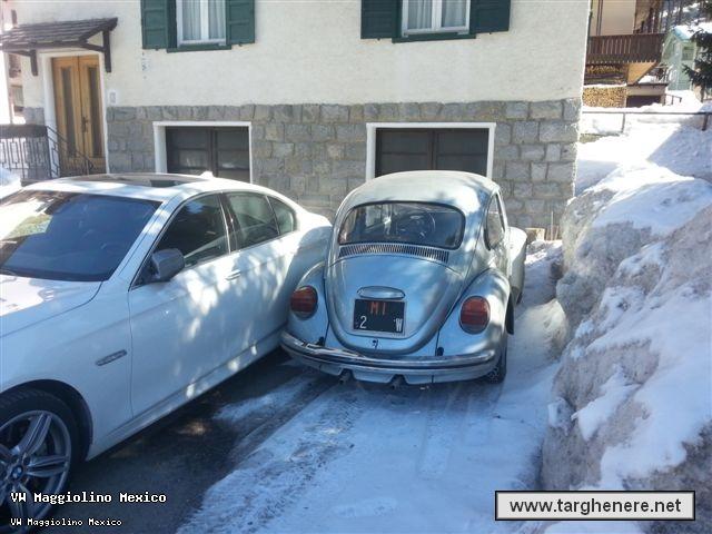 maggiolinos420130319.jpg
