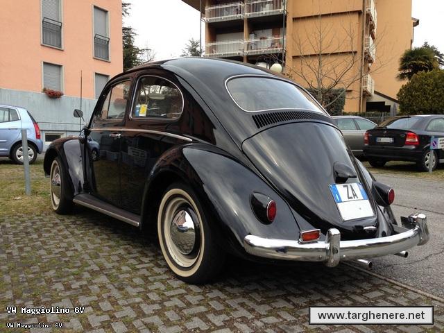 maggiolinoandre20130321.jpg