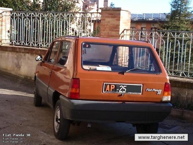 fiatpandadanlib20130329_1.jpg