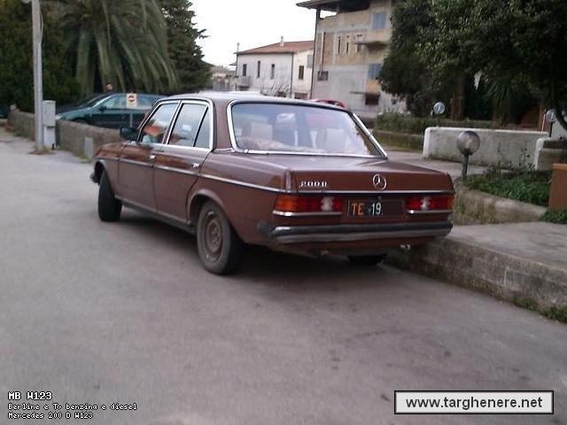 mercedesw123danlib20130330.jpg