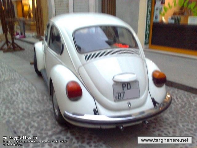 maggiolinosampei20130412.jpg