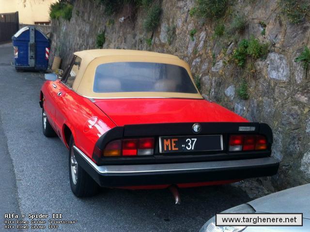 alfaspideretilico20130420.jpg