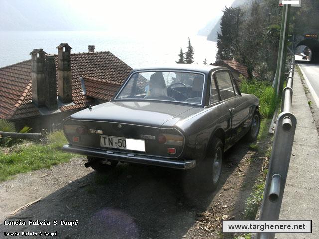 fulviacoupedanip20130421.jpg