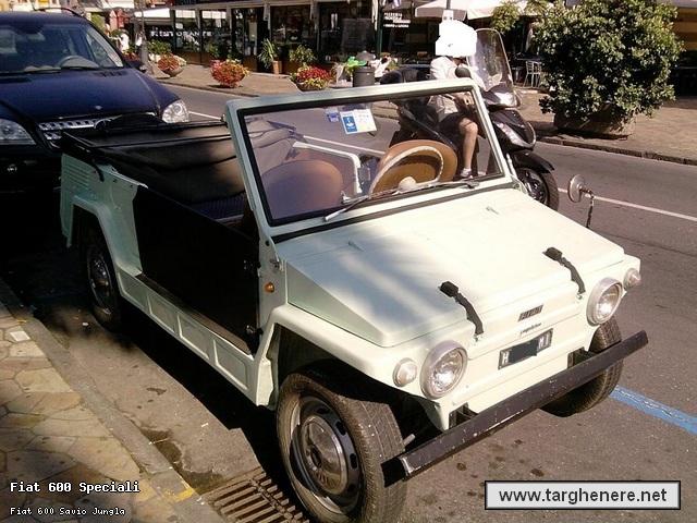 fiatsaviojunglaciccio20130518.jpg