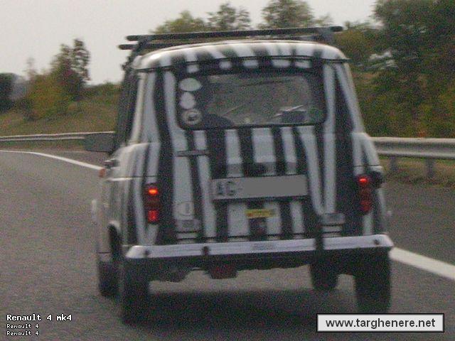 r4-zebra.jpg