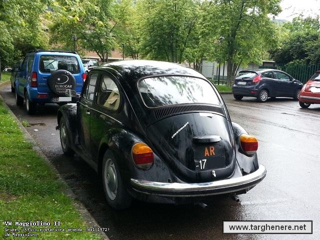 maggiolinos420130618.jpg