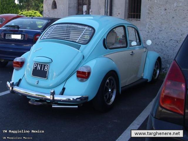 maggiolinodeltago20130712.jpg
