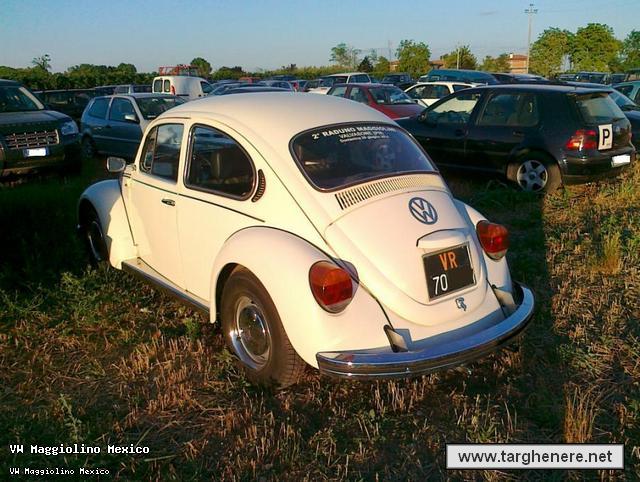 maggiolinodeltago20130818.jpg