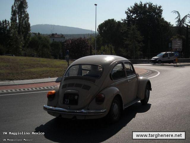 maggiolinoneim20130914.jpg