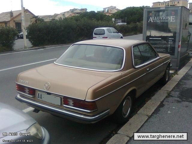 mercedesw123cespinterogeno20131002.jpg